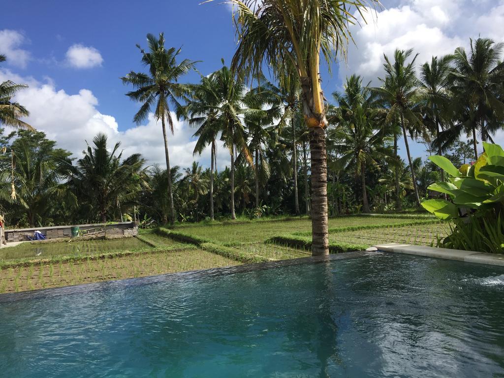 The Suris Ubud Buitenkant foto