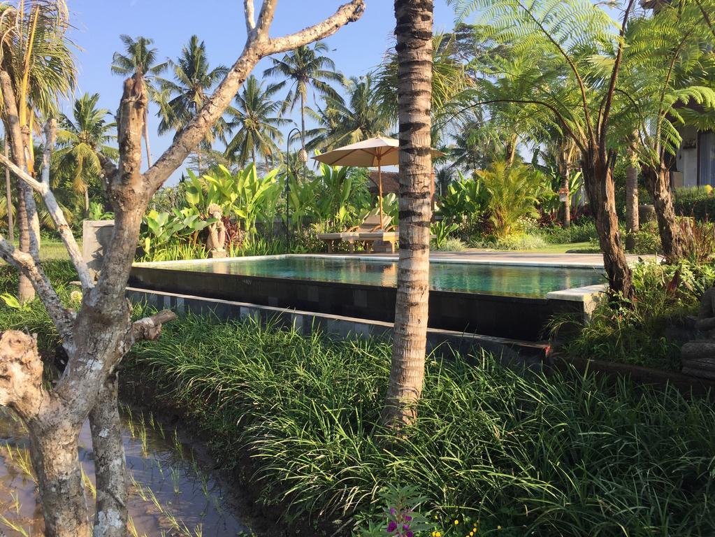 The Suris Ubud Buitenkant foto