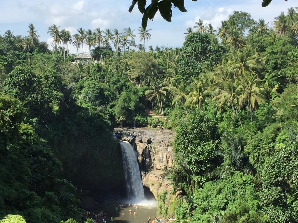 The Suris Ubud Buitenkant foto