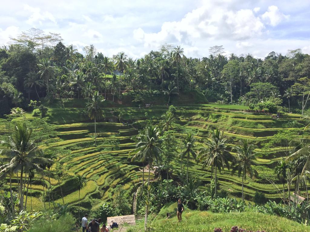 The Suris Ubud Buitenkant foto