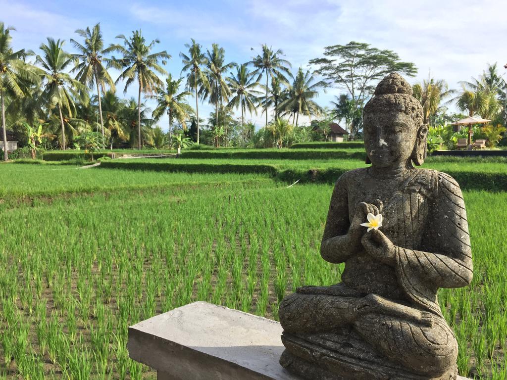 The Suris Ubud Buitenkant foto